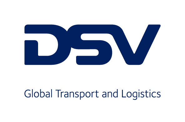 Dsv Logo